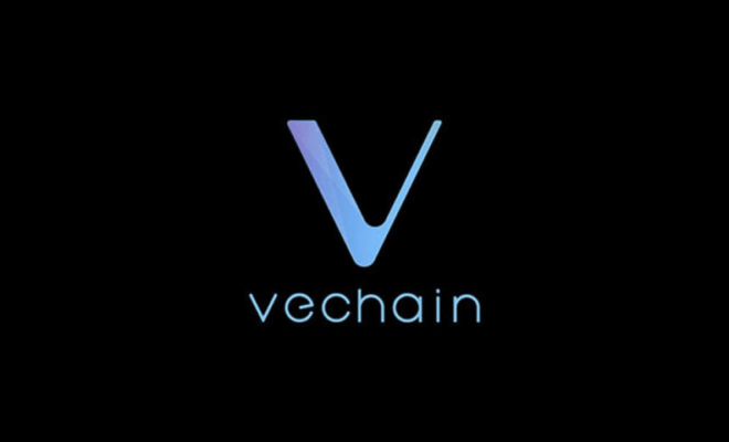 VET теперь можно расплатиться в 2 миллионах магазинов, проект подключается к BNB Chain